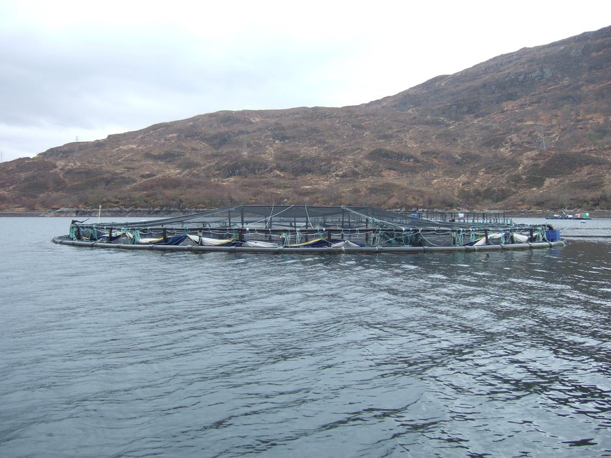 A ringed off area of water can be seen from the side, it's a salmon farm. In the background are brown hills.