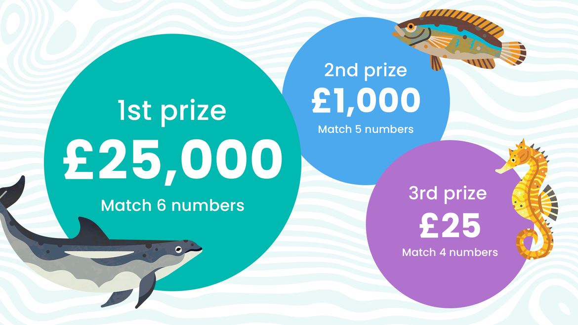 An ocean-themed lottery prize infographic set against a pale blue wavy background. Three colorful bubbles list the prizes.