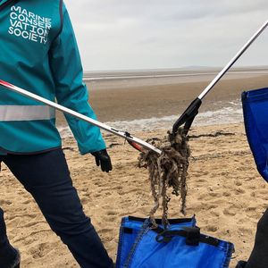 2 volunteers picking up soiled wet wipes using litter pickers