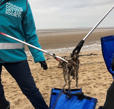 2 volunteers picking up soiled wet wipes using litter pickers