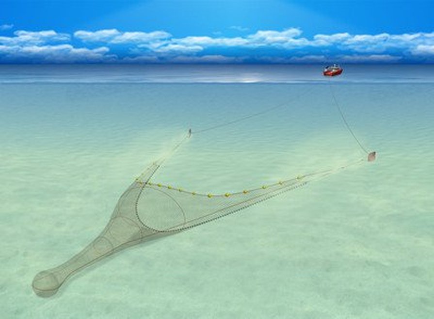 An image shows a boat towing a net over the seabed. The net is held open by two panels, known as otter boards.