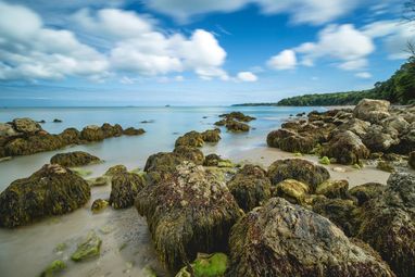 a rocky coastline at Priory Bay, Isle of Wight, with moss-covered boulders in the shallow, calm water during the daytime under a blue sky with white clouds. A wooded area lines the right side of the beach.