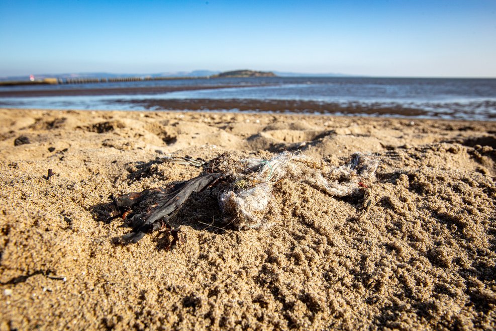 A clump of litter, including a disintegrating wet wipe, is found on a sandy beach in Crammond, Scotland.