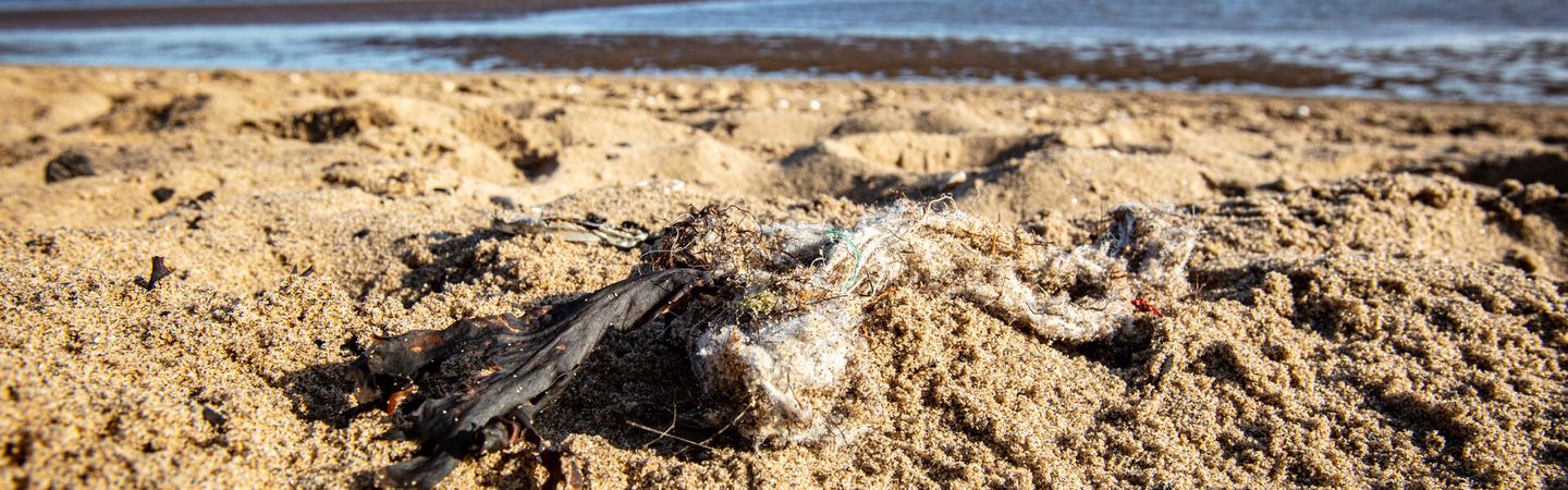 A clump of litter, including a disintegrating wet wipe, is found on a sandy beach in Crammond, Scotland.