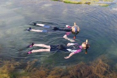 Children snorkeling in a rockpool