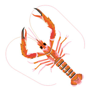 Scampi or langoustine