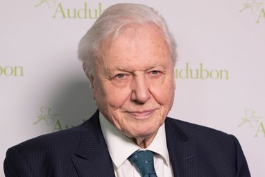 A close up of Sir David Attenborough