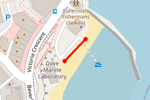 Map showing Cullercoats