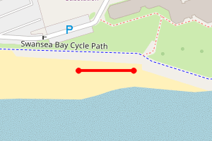 Map showing Swansea Bay (central library)