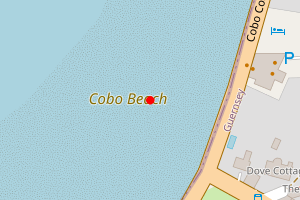 Map showing Cobo (2002)